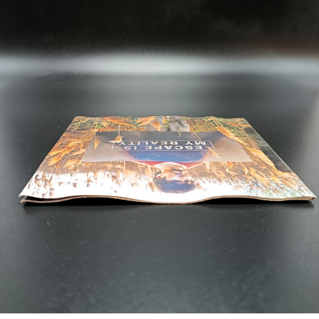 Seether - Disclaimer CD