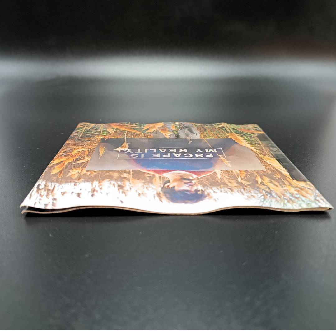 Seether - Disclaimer CD