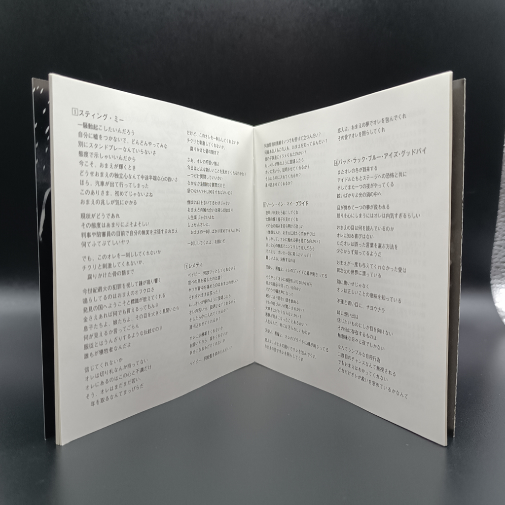 The Black Crowes - The Southern Harmony and Musical Companion CD (japonés)