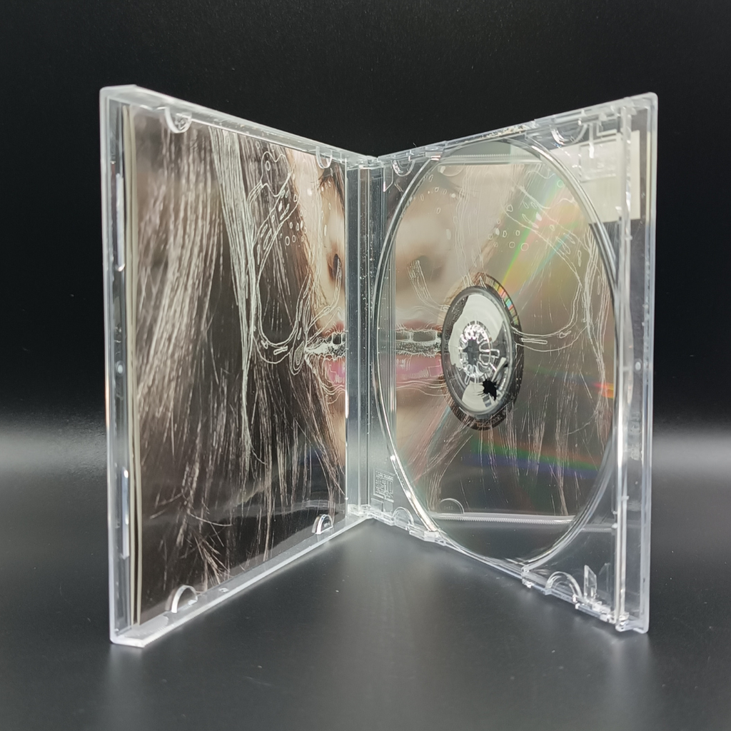 Björk - Hidden Place single CD 2