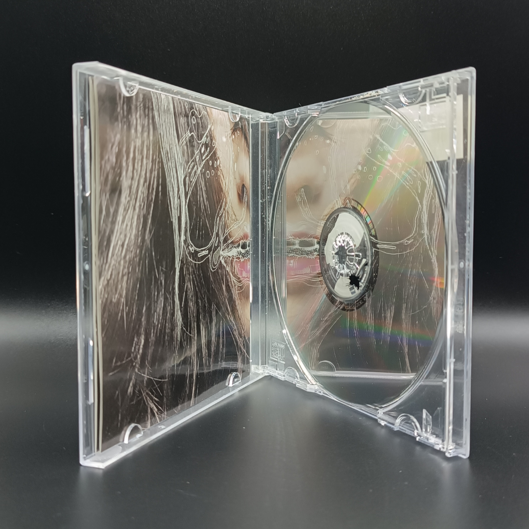 Björk - Hidden Place single CD 2