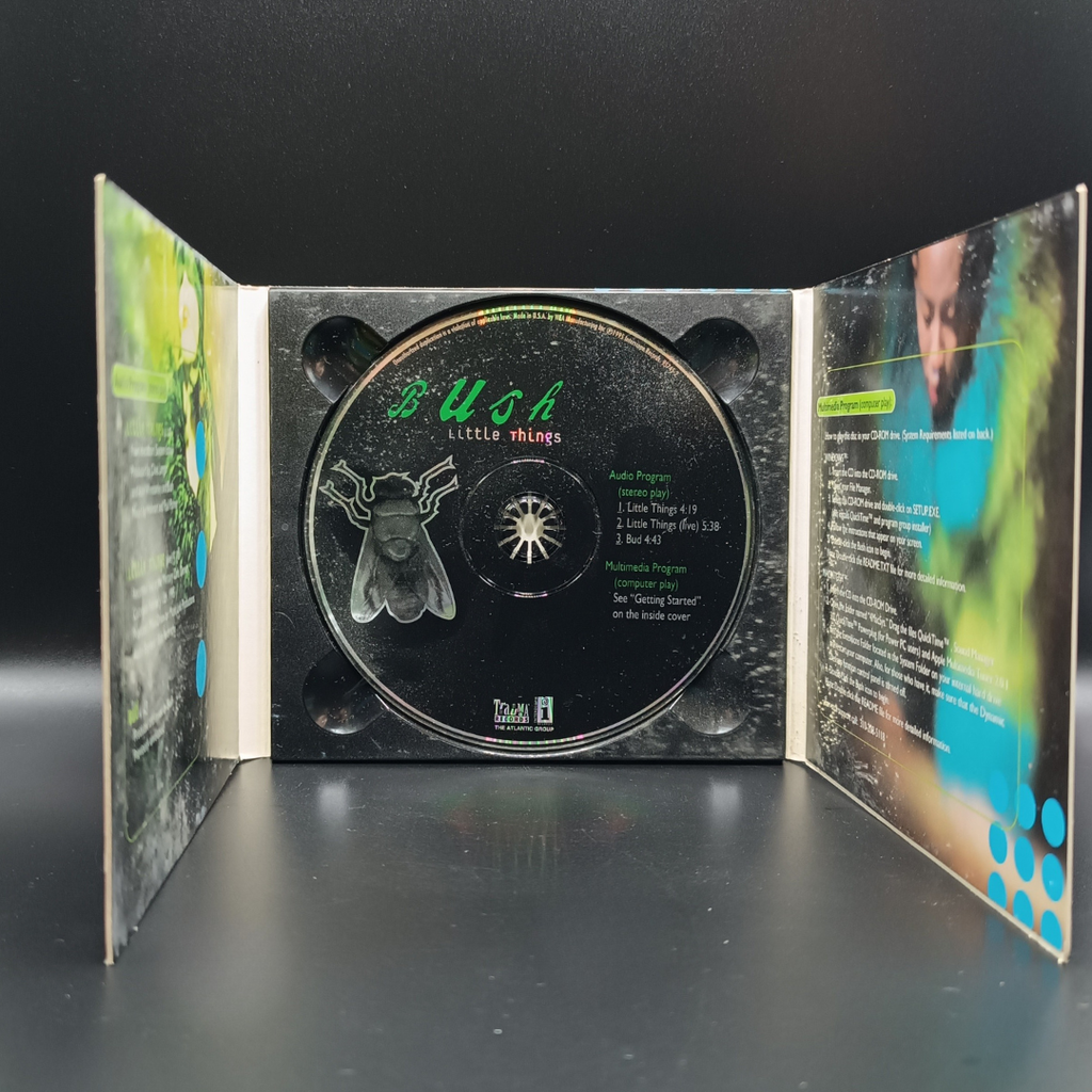 Bush - Little Things single CD
