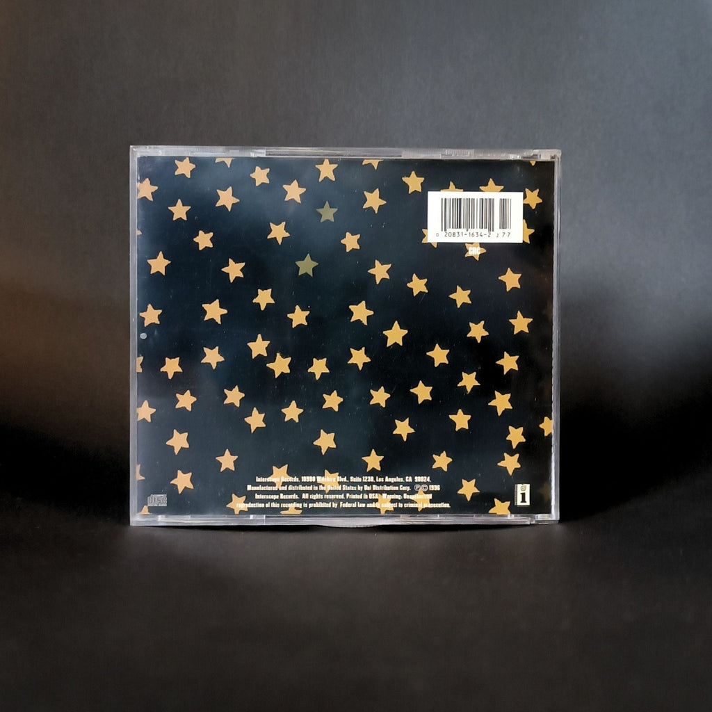 The Wallflowers - Bringing Down the House CD
