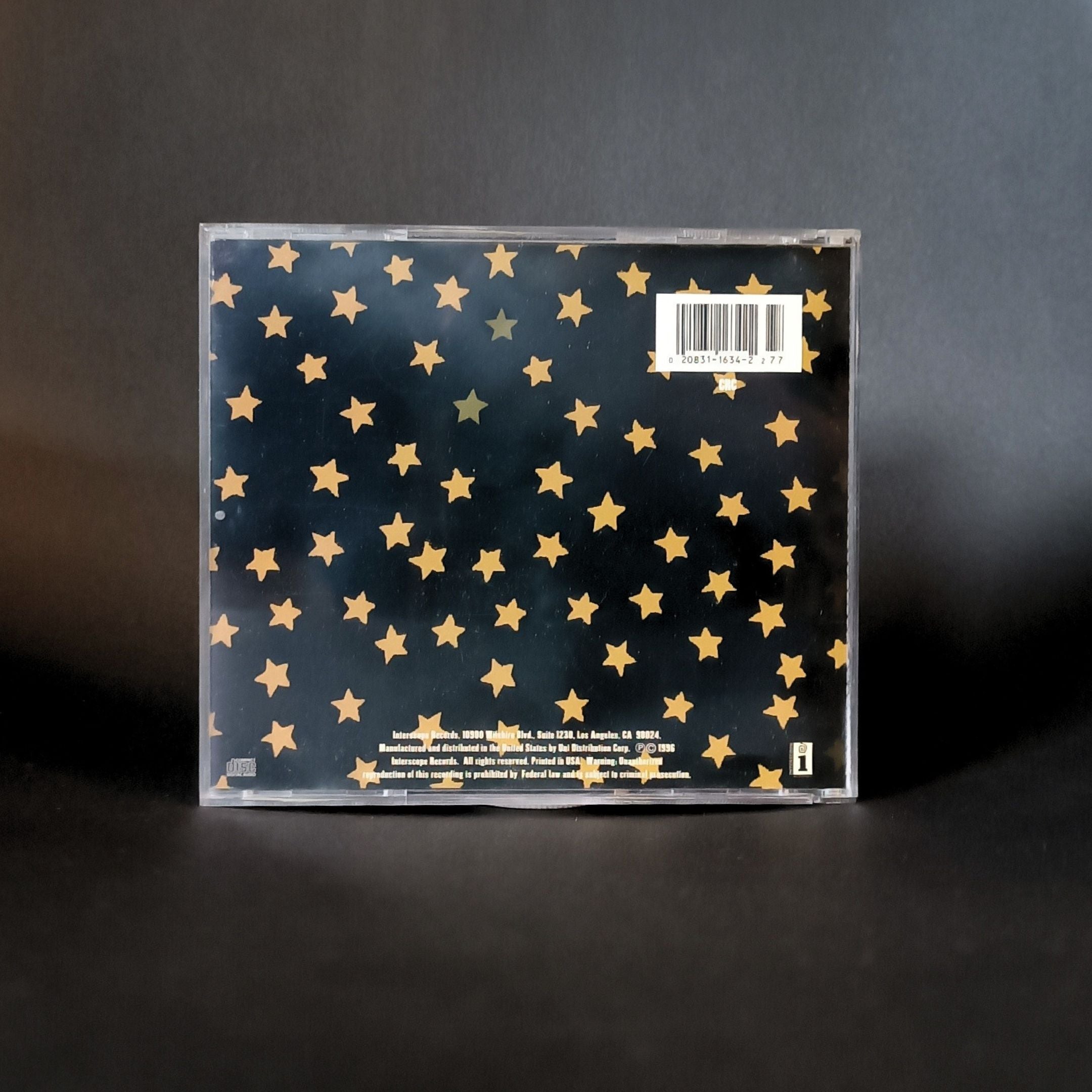 The Wallflowers - Bringing Down the House CD