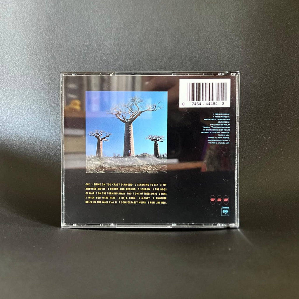 Pink Floyd - Delicate Sound of Thunder 2 CD