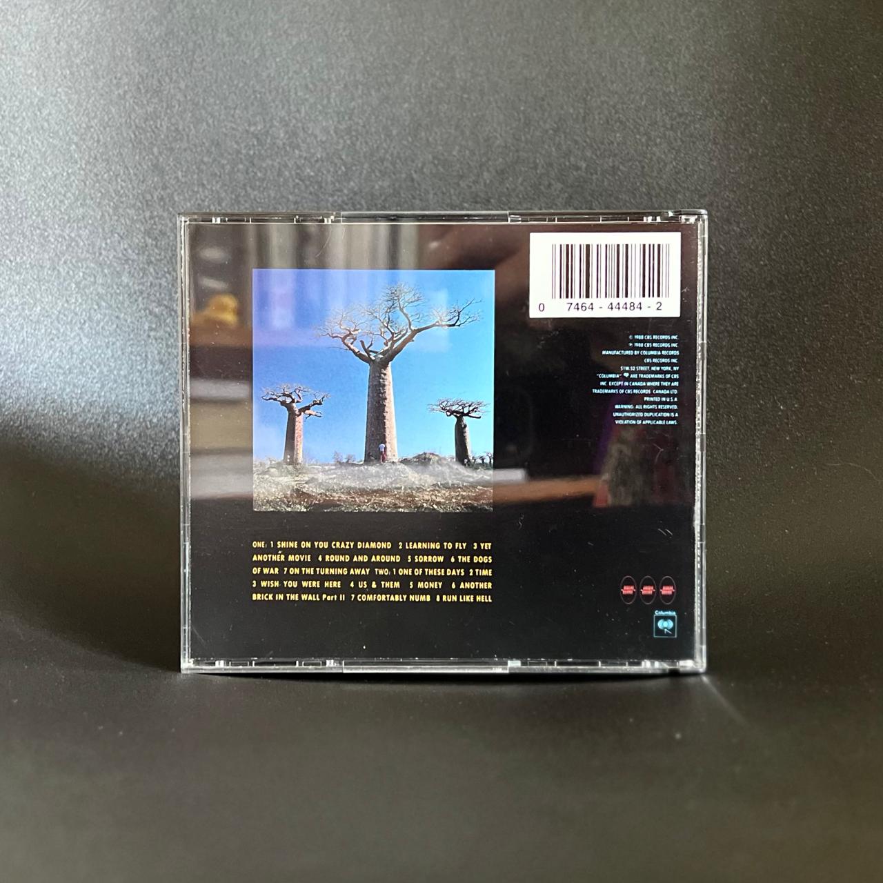 Pink Floyd - Delicate Sound of Thunder 2 CD