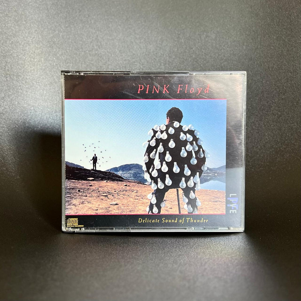 Pink Floyd - Delicate Sound of Thunder 2 CD